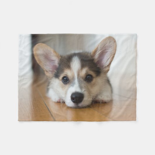 Niedliche Kleintiere | Corgi Puppy Looking Fleecedecke (Vorderseite (Horizontal))