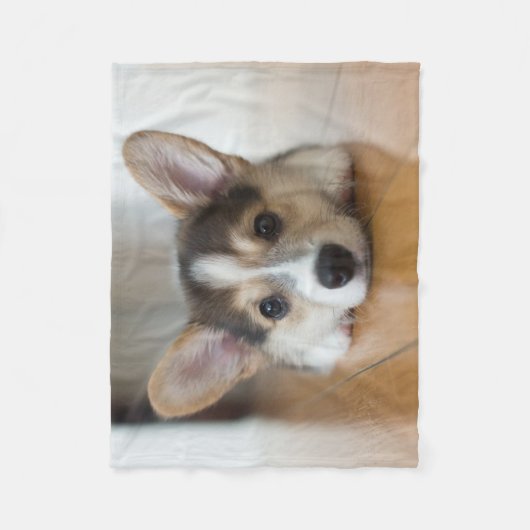 Niedliche Kleintiere | Corgi Puppy Looking Fleecedecke (Vorderseite)