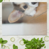 Niedliche Kleintiere | Corgi Puppy Looking Geschirrtuch (Gefaltet)