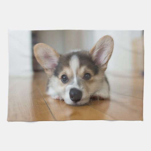 Niedliche Kleintiere | Corgi Puppy Looking Geschirrtuch (Horizontal)