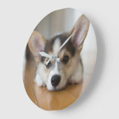 Niedliche Kleintiere | Corgi Puppy Looking Große Wanduhr (Winkel)