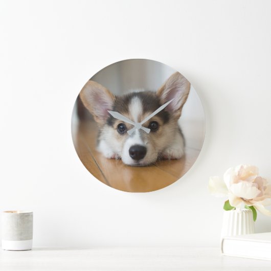 Niedliche Kleintiere | Corgi Puppy Looking Große Wanduhr (Zuhause)
