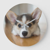 Niedliche Kleintiere | Corgi Puppy Looking Große Wanduhr (Vorderseite)