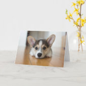 Niedliche Kleintiere | Corgi Puppy Looking Karte (Gelbe Blume)