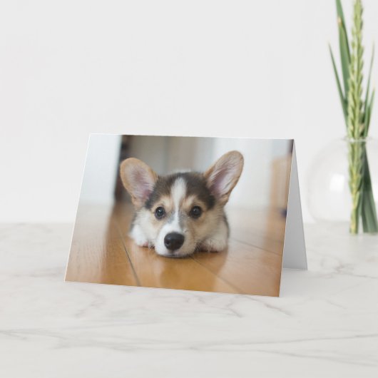 Niedliche Kleintiere | Corgi Puppy Looking Karte (Vorderseite)