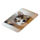 Niedliche Kleintiere | Corgi Puppy Looking Magnet (Linke Seite)
