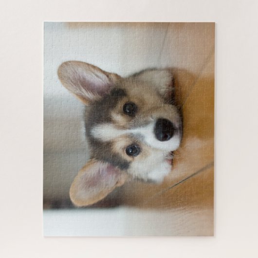 Niedliche Kleintiere | Corgi Puppy Looking Puzzle (Vertikal)