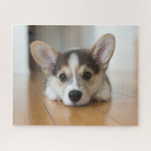 Niedliche Kleintiere   Corgi Puppy Looking Puzzle