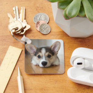 Niedliche Kleintiere Corgi Puppy Looking Schlüsselanhänger