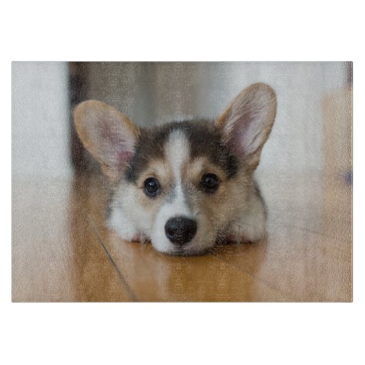 Niedliche Kleintiere | Corgi Puppy Looking Schneidebrett (Vorderseite)
