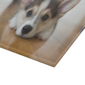 Niedliche Kleintiere | Corgi Puppy Looking Schneidebrett (Ecke)