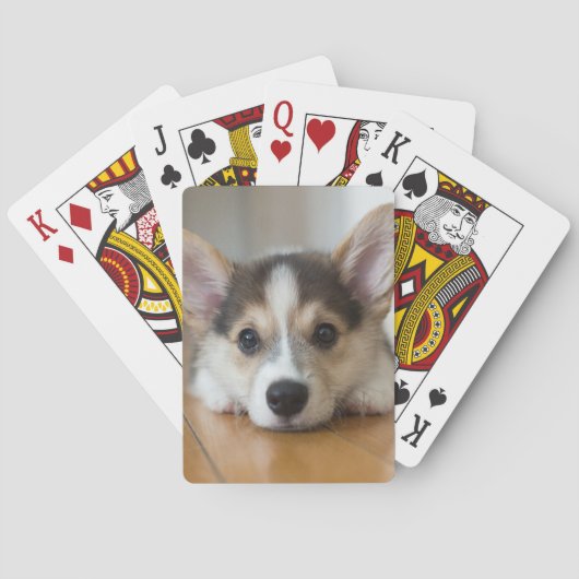 Niedliche Kleintiere | Corgi Puppy Looking Spielkarten (Rückseite)