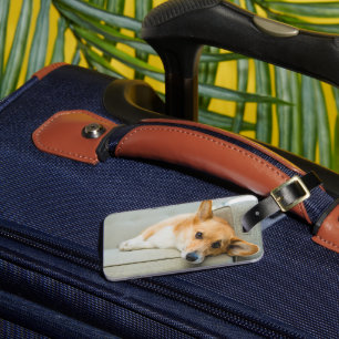 Niedliche Kleintiere Corgi Puppy on Couch Gepäckanhänger