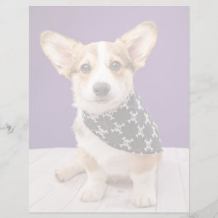 Niedliche Kleintiere Corgi Puppy Skull Bandana