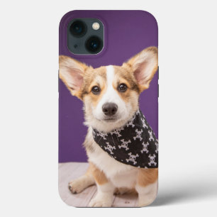 Niedliche Kleintiere   Corgi Puppy Skull Bandana Case-Mate iPhone Hülle