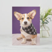 Niedliche Kleintiere | Corgi Puppy Skull Bandana Dankeskarte (Stehend Vorderseite)