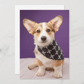 Niedliche Kleintiere | Corgi Puppy Skull Bandana Dankeskarte (Vorne/Hinten)