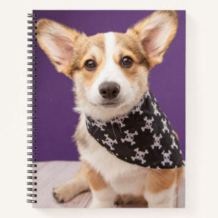Niedliche Kleintiere Corgi Puppy Skull Bandana Notizblock