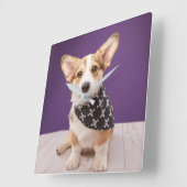 Niedliche Kleintiere | Corgi Puppy Skull Bandana Quadratische Wanduhr (Winkel)