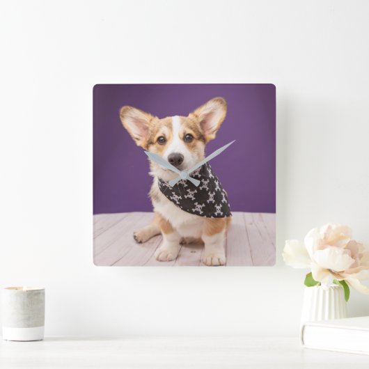 Niedliche Kleintiere | Corgi Puppy Skull Bandana Quadratische Wanduhr (Zuhause)