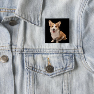 Niedliche Kleintiere   Corgi Puppy Smile Button