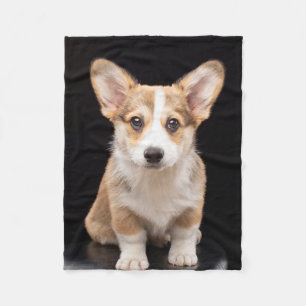 Niedliche Kleintiere   Corgi Puppy Stehend Tal Fleecedecke
