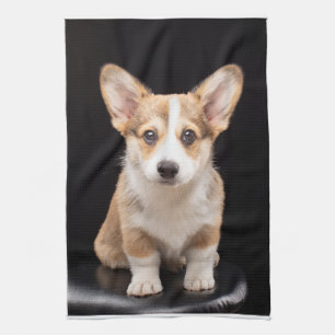 Niedliche Kleintiere   Corgi Puppy Stehend Tal Geschirrtuch