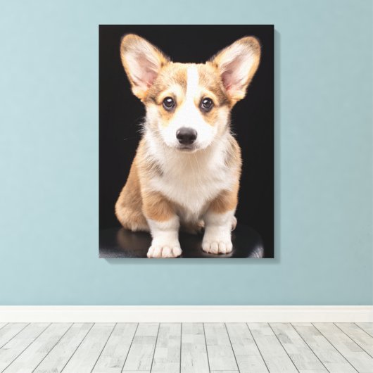 Niedliche Kleintiere | Corgi Puppy Stehend Tal Leinwanddruck (Insitu (Holzboden))