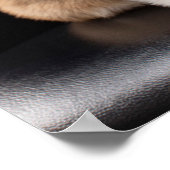 Niedliche Kleintiere | Corgi Puppy Stehend Tal Poster (Ecke)