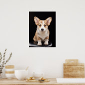 Niedliche Kleintiere | Corgi Puppy Stehend Tal Poster (Küche)
