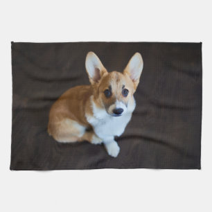 Niedliche Kleintiere Corgi Sucht nach oben Geschirrtuch