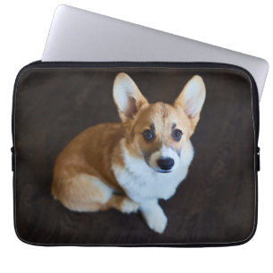 Niedliche Kleintiere Corgi Sucht nach oben Laptopschutzhülle