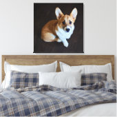 Niedliche Kleintiere | Corgi Sucht nach oben Leinwanddruck (Insitu (Schlafzimmer))