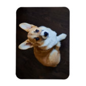 Niedliche Kleintiere | Corgi Sucht nach oben Magnet (Vertikal)
