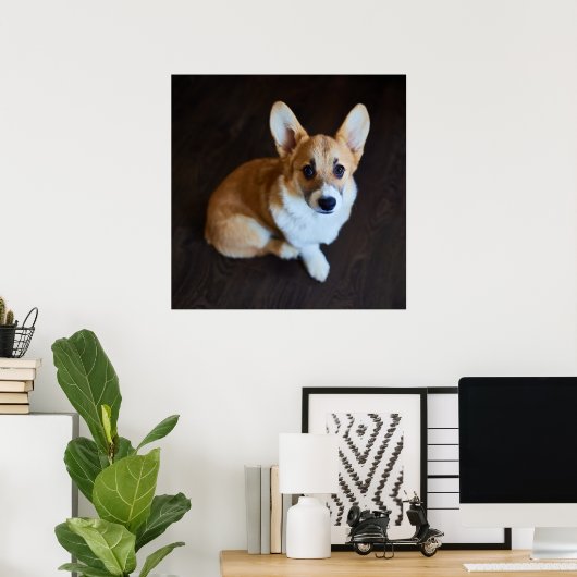 Niedliche Kleintiere | Corgi Sucht nach oben Poster (Heimbüro)
