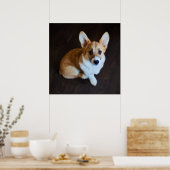Niedliche Kleintiere | Corgi Sucht nach oben Poster (Küche)
