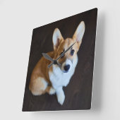 Niedliche Kleintiere | Corgi Sucht nach oben Quadratische Wanduhr (Winkel)