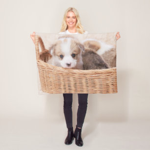 Niedliche Kleintiere   Corgi Tiny Puppy Fleecedecke
