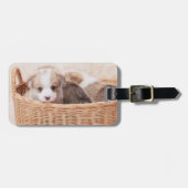 Niedliche Kleintiere | Corgi Tiny Puppy Gepäckanhänger (Vorderseite horizontal)