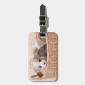 Niedliche Kleintiere | Corgi Tiny Puppy Gepäckanhänger (Vorderseite vertikal)
