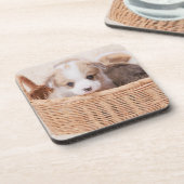 Niedliche Kleintiere | Corgi Tiny Puppy Getränkeuntersetzer (Linke Seite)