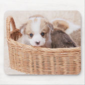 Niedliche Kleintiere | Corgi Tiny Puppy Mousepad (Vorne)