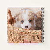 Niedliche Kleintiere | Corgi Tiny Puppy Notizblock (Rückseite)