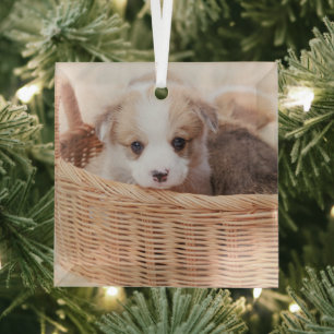 Niedliche Kleintiere Corgi Tiny Puppy Ornament Aus Glas
