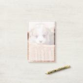 Niedliche Kleintiere | Corgi Tiny Puppy Post-it Klebezettel (Auf Schreibtisch)