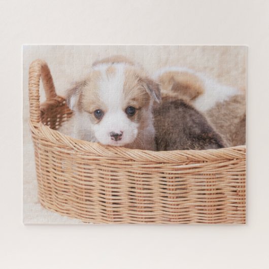 Niedliche Kleintiere | Corgi Tiny Puppy Puzzle (Horizontal)
