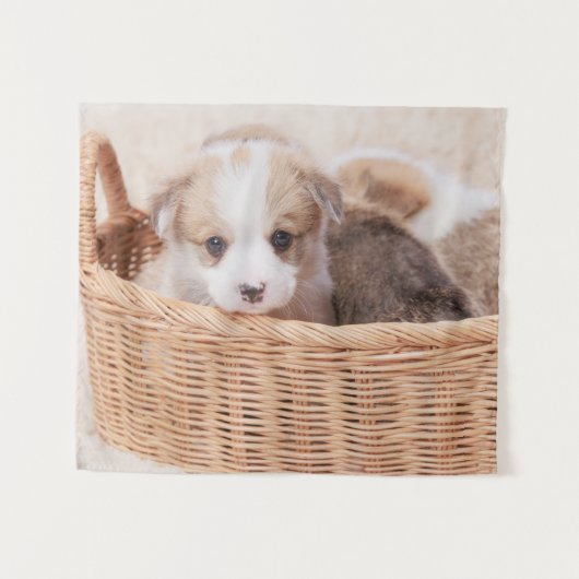 Niedliche Kleintiere | Corgi Tiny Puppy Wandteppich (Vorderseite (Horizontal))