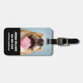 Niedliche Kleintiere | Corgi Tongue Gepäckanhänger (Vorderseite horizontal)