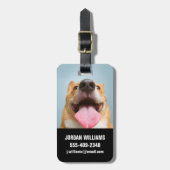 Niedliche Kleintiere | Corgi Tongue Gepäckanhänger (Vorderseite vertikal)