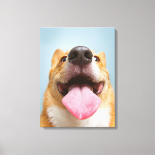 Niedliche Kleintiere   Corgi Tongue Leinwanddruck